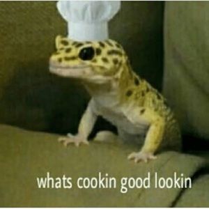 Meet your Posher, Anna